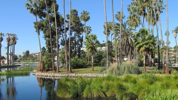 Parchi a Los Angeles: un'esperienza da vivere a 360 gradi tra natura e divertimento